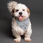 Personalised Dog Bandana - ItJustGotPersonal.co.uk