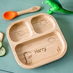 Personalised Dinosaur Bamboo Suction Plate & Spoon - ItJustGotPersonal.co.uk