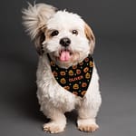 Personalised Pumpkin Patch Dog Bandana - ItJustGotPersonal.co.uk