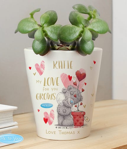 Personalised Me To You Hold You Forever Plant Pot - ItJustGotPersonal.co.uk