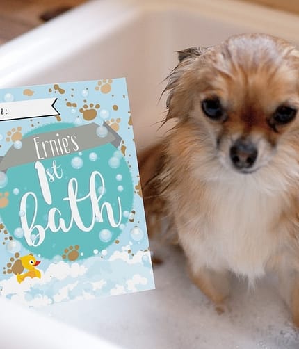 Personalised Puppy Cards: For Milestone Moments - ItJustGotPersonal.co.uk