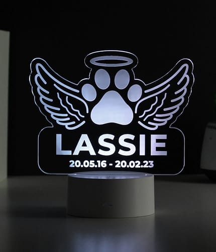 Personalised Pet Memorial Colour Changing LED Light - ItJustGotPersonal.co.uk