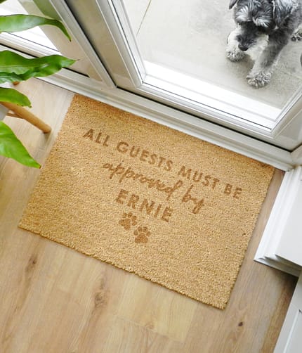 Personalised Approved By The Pet Rectangle Indoor Doormat - ItJustGotPersonal.co.uk