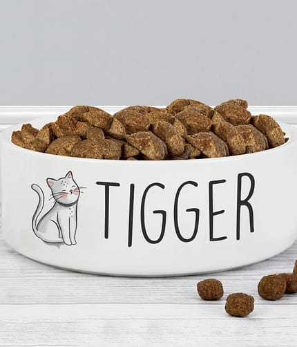 Personalised Scribble Cat 14cm Medium Pet Bowl - ItJustGotPersonal.co.uk