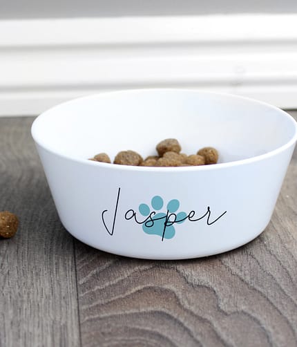 Personalised Blue Pawprint Plastic Cat Bowl - ItJustGotPersonal.co.uk