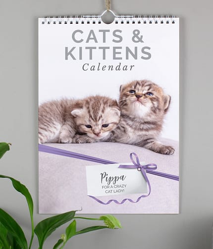 Personalised A4 Cats & Kittens Calendar - ItJustGotPersonal.co.uk